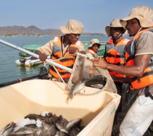 Chicoa Fish Farm