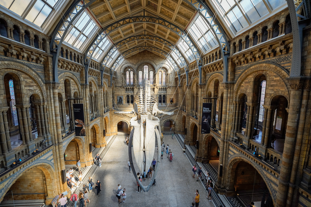 Natural History Museum