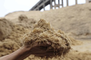Zambia Sugar
